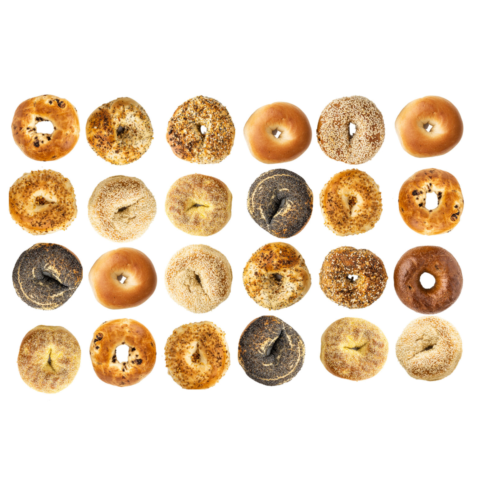Classic Bagels 2 Dozen (24) Western Bagel Wholesale